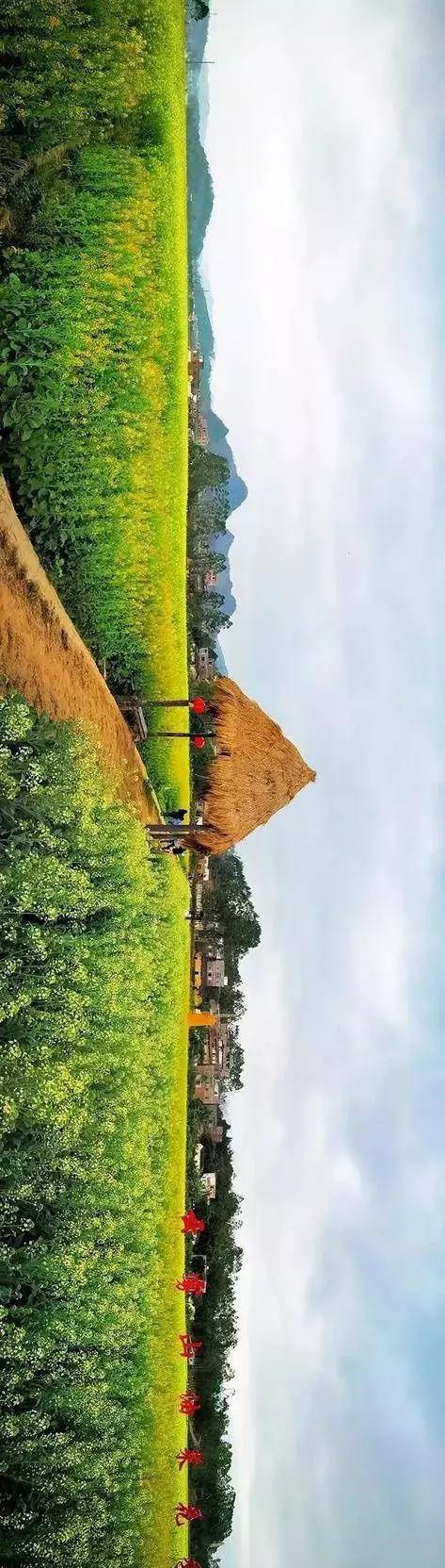 中國經(jīng)濟(jì)體制改革基金會全國第一！中國改革熱度第三方評估出爐，云浮宣傳系數(shù)在全國343個(gè)城市居首位                             